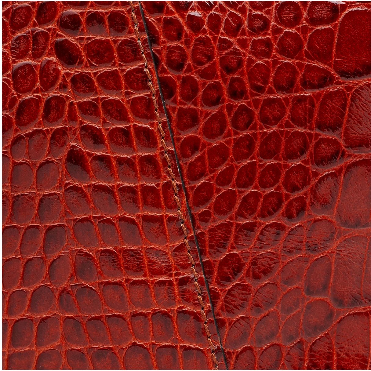 Petite Curie / Cognac Croco